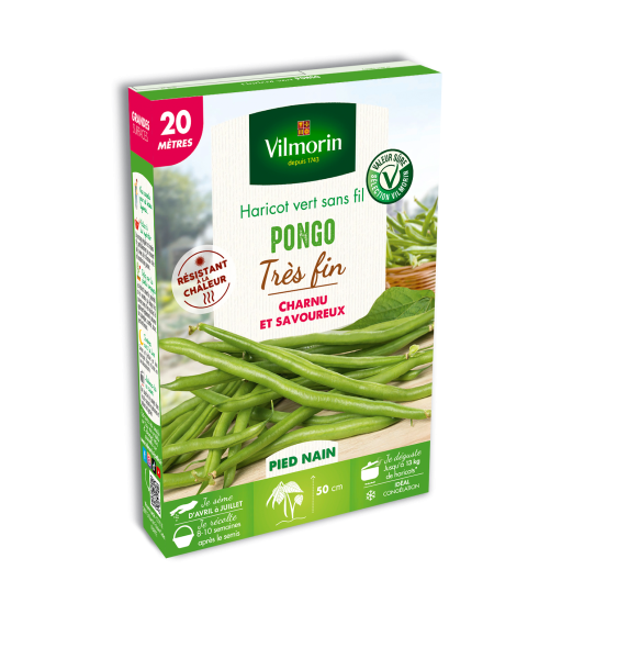 Légumes Secs - Haricot Pongo - 20 m - PACKAGING_3D_RECTO